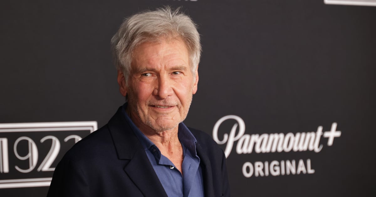 Harrison Ford Is a Family Man — Get to Know His 5 Kids